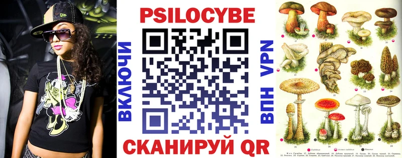Галлюциногенные грибы Psilocybe  blacksprut как войти  Коммунар 